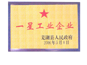 荣誉资质